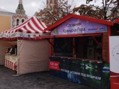 Obisk župana v Rusiji 1